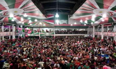 Três sambas estão na final da Mangueira