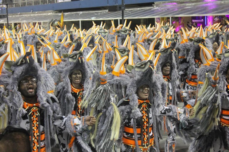 Confira a classificação de todos os grupos do Carnaval de São Paulo