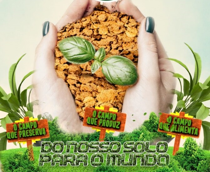 Conheça o enredo da Mancha Verde para o Carnaval 2024