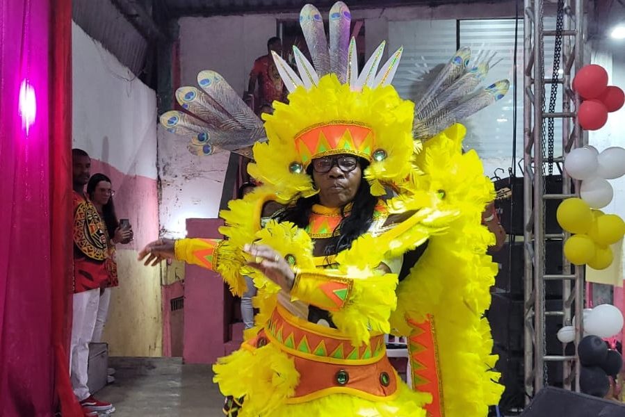Veja as fantasias da União do Parque Acari para o Carnaval 2024