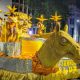 Confira a ordem de desfiles dos blocos de enredo para o Carnaval 2024